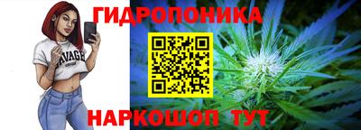 прущие крисы Аргун