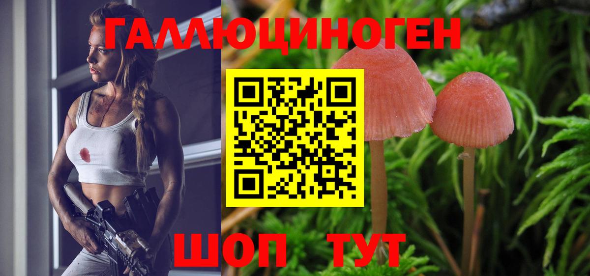 Галлюциногенные грибы Magic Shrooms  Вход с VPN  Артёмовский 